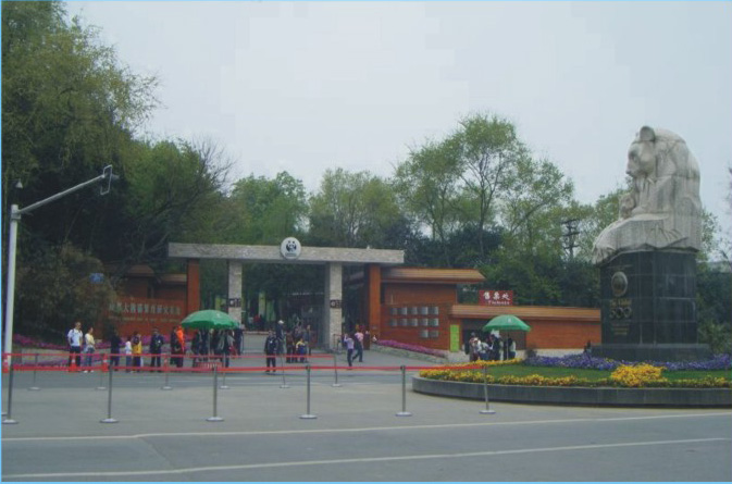 1540387932088022318.jpg 成都大熊貓基地.jpg